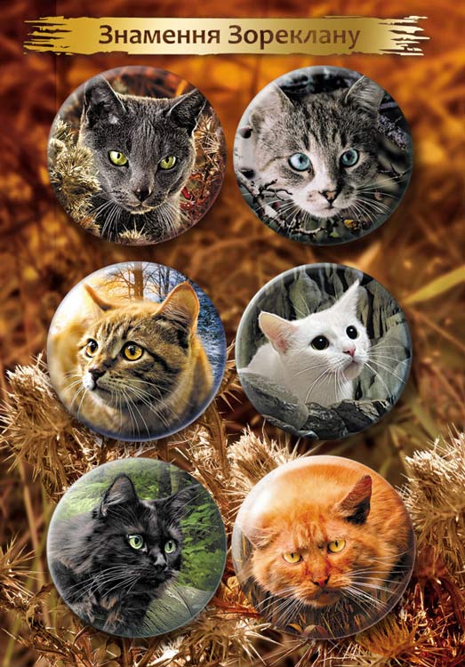 Комплект із 6-ти значків «Знамення Зореклану» - зображення