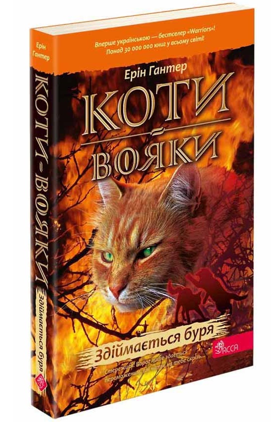 Коти-вояки. Здіймається буря (м'яка обкладинка, з пошкодженнями) - зображення