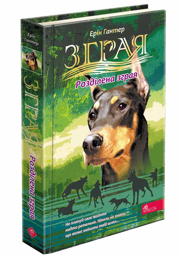 Зграя. Розділена зграя (з пошкодженнями) - зображення