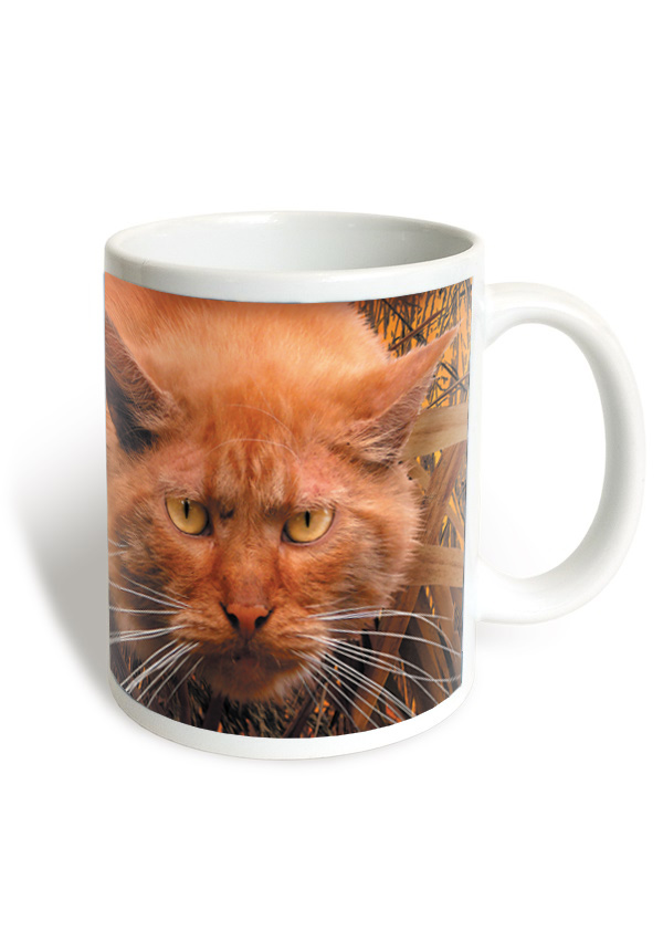 Чашка «Остання надія» - зображення