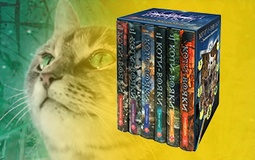 Розпочато передзамовлення подарункового комплекту із 6 книг четвертого циклу «Знамення Зореклану»