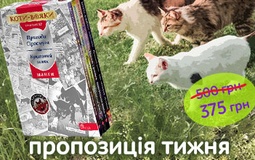 Пропозиція тижня: комплект із чотирьох манґ серії «Коти-Вояки»