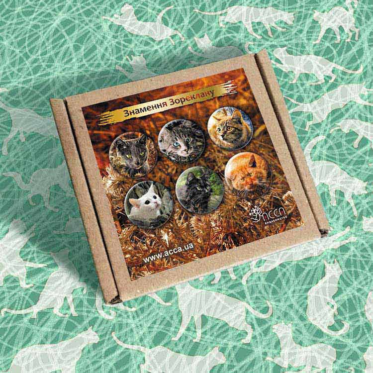 Комплект із 6-ти значків «Знамення Зореклану» - інші зображення