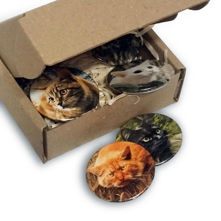 Комплект із 6-ти значків «Знамення Зореклану» - інші зображення