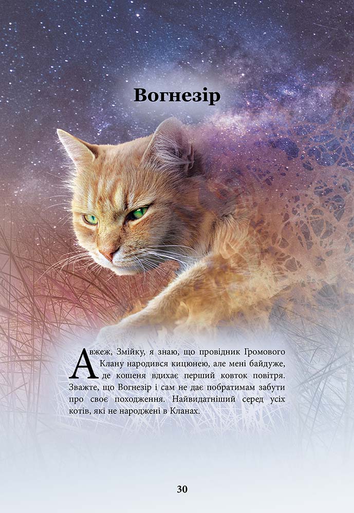 Коти-вояки. Герої Кланів. Хроніки Зореклану. Спеціальне видання - інші зображення