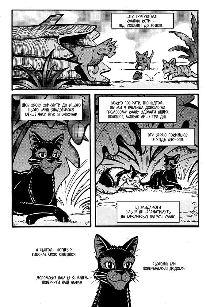 Коти-вояки. Манґа 10. Шлях Круколапа. Серце вояка - інші зображення